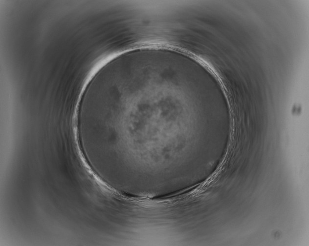 X0000098151440200804171602