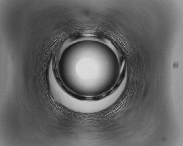 X0000098151441200804171601