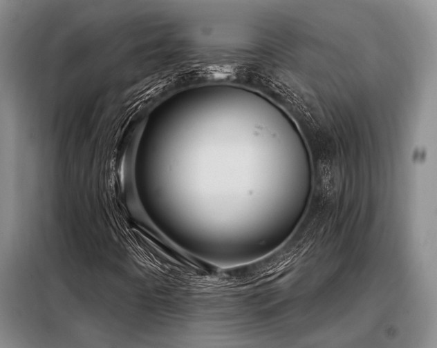 X0000098151442200804171601