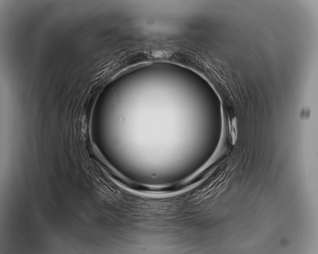 X0000098151443200804171601