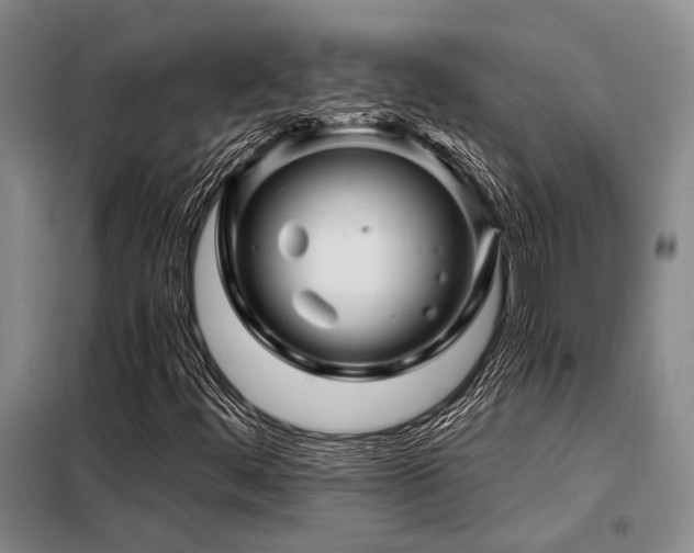 X0000098151444200804171601