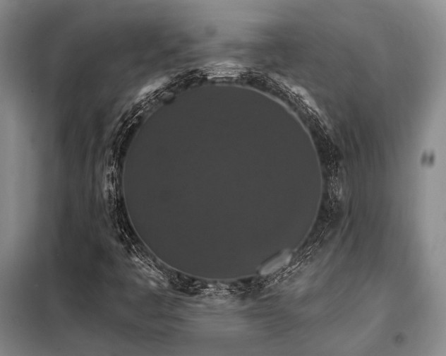 X0000098151445200804171601