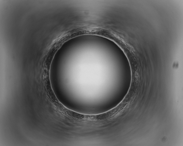 X0000098151447200804171601