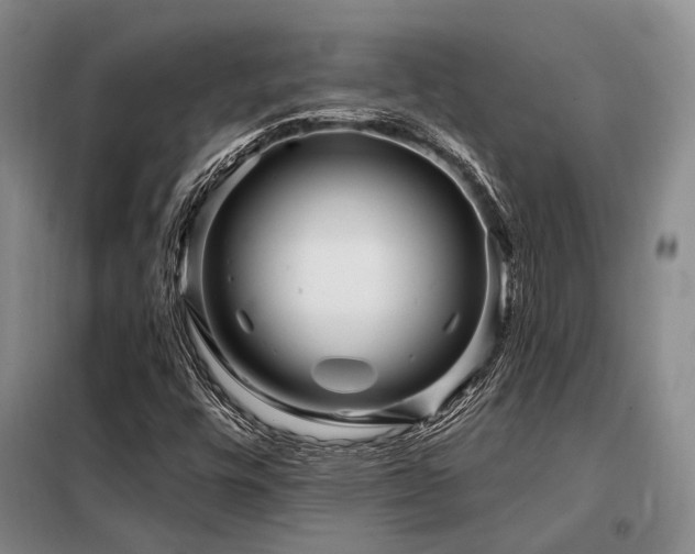 X0000098151448200804171601