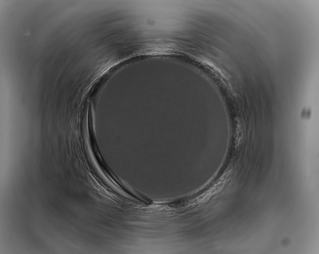 X0000098151449200804171601