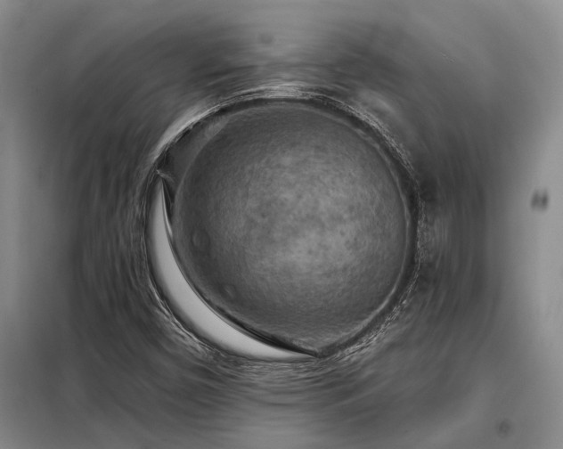 X0000098151450200804171601