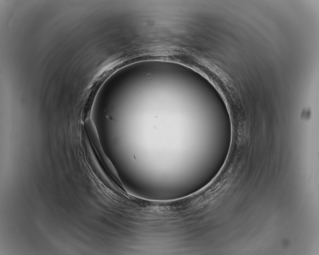 X0000098151451200804171601