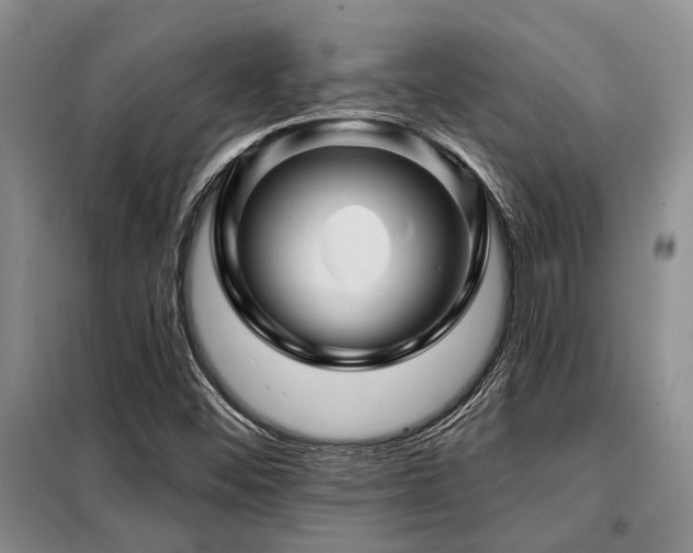 X0000098151452200804171601