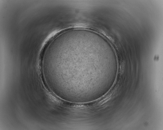 X0000098151454200804171601