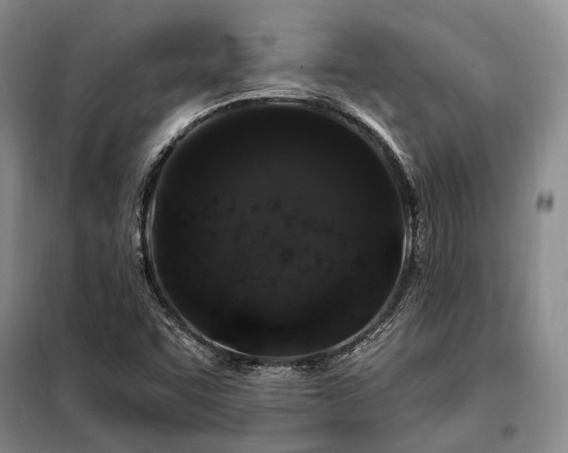X0000098151455200804171601