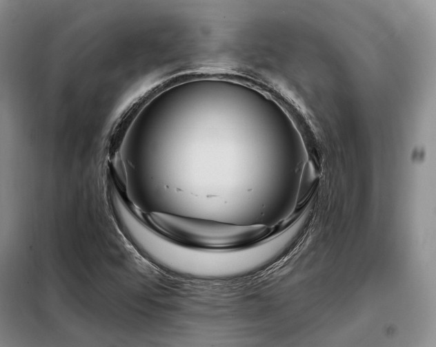 X0000098151456200804171601