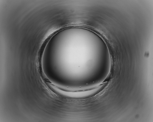 X0000098151458200804171601