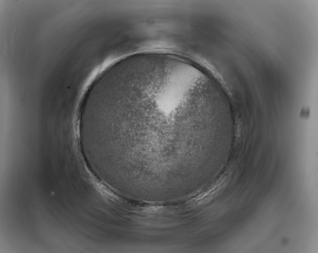 X0000098151462200804171600