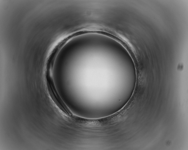 X0000098151464200804171600