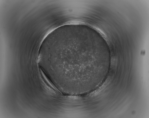 X0000098151465200804171600