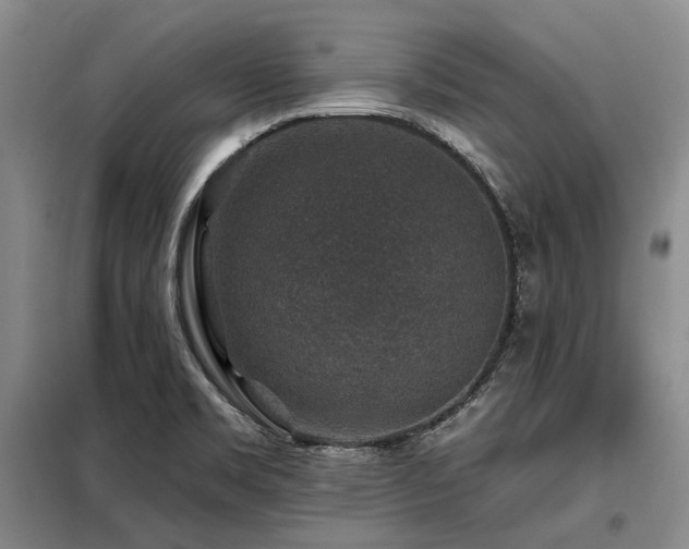 X0000098151469200804171600