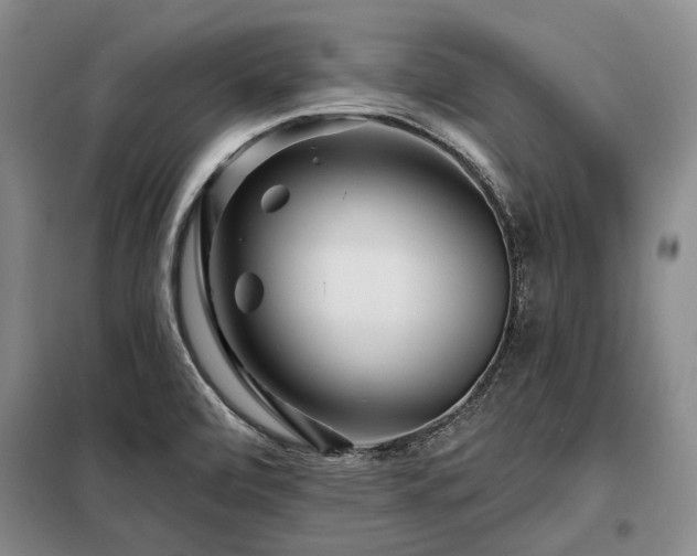 X0000098151472200804171600