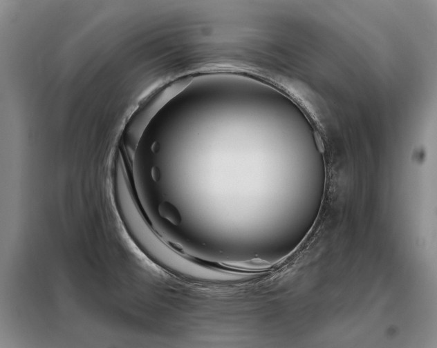 X0000098151476200804171600