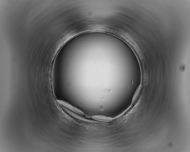 X0000098151481200804171600