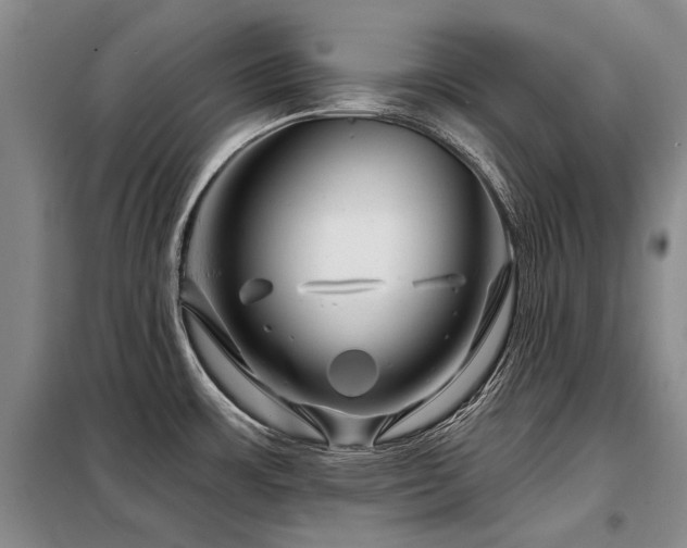 X0000098151483200804171600