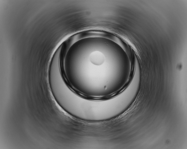 X0000098151484200804171600