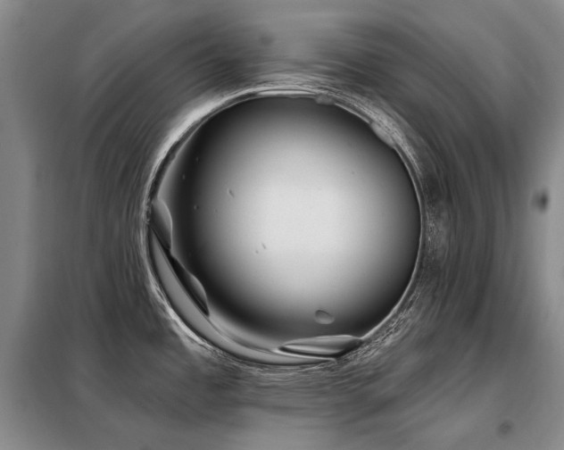 X0000098151485200804171600