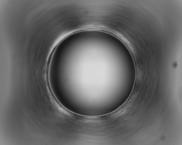X0000098151486200804171600