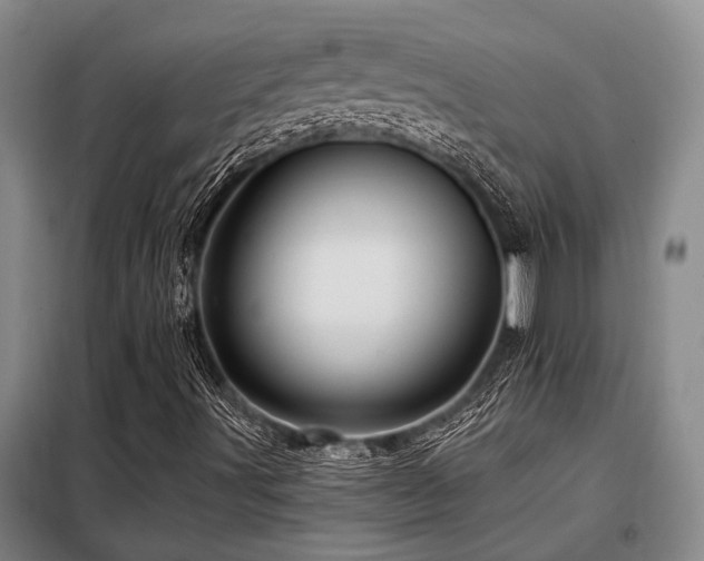 X0000098151491200804171559