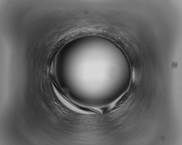X0000098151492200804171559