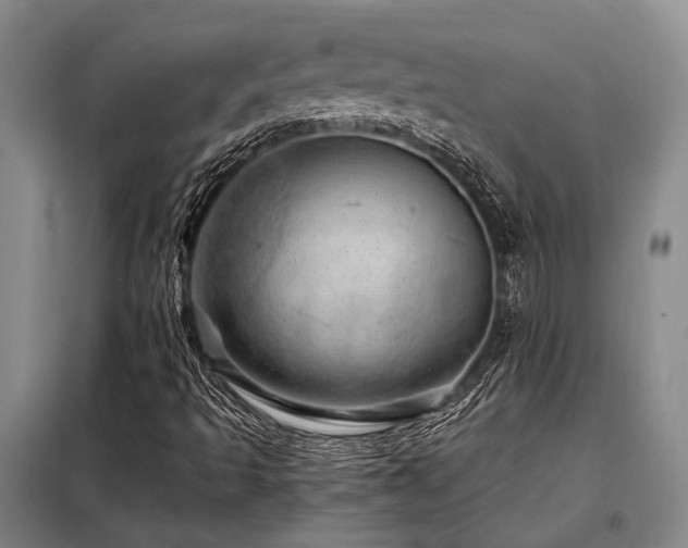 X0000098151493200804171559