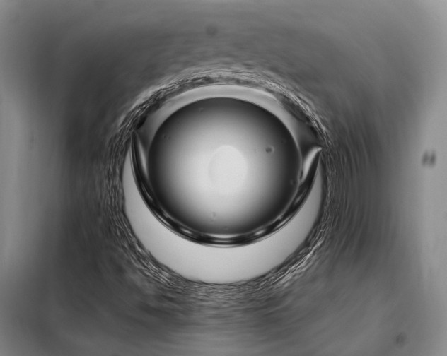 X0000098151494200804171559