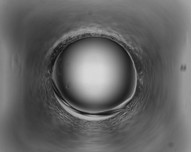 X0000098151495200804171559