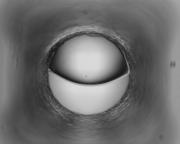 X0000098151496200804171559