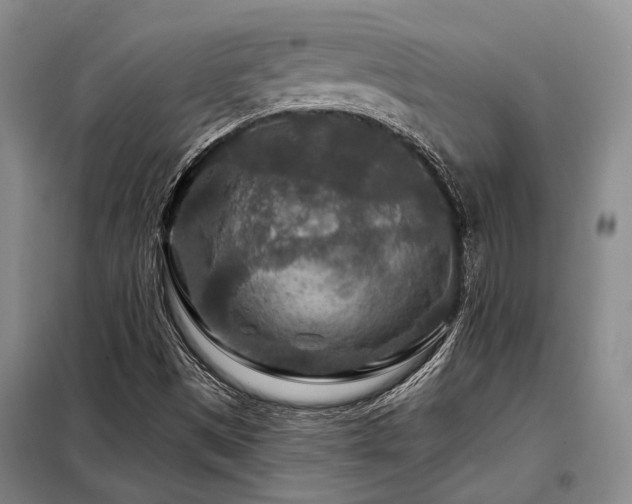 X0000098151497200804171559