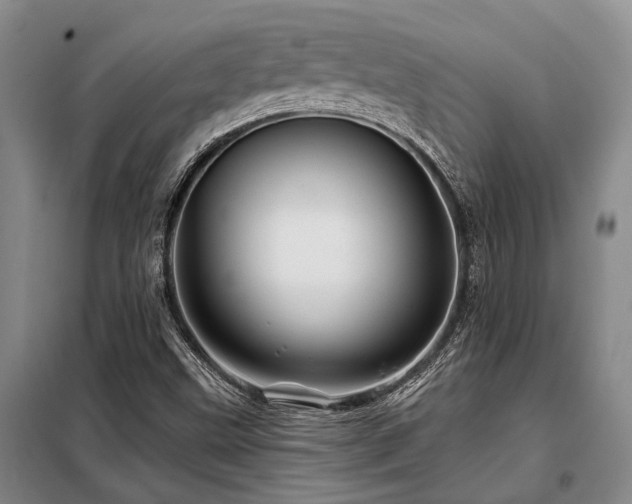 X0000098151499200804171559
