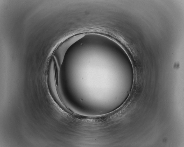 X0000098151500200804171559