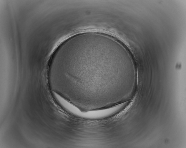 X0000098151501200804171559