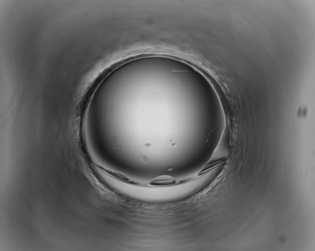 X0000098151503200804171559