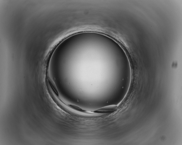 X0000098151504200804171559