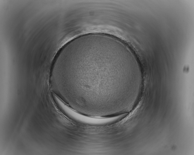 X0000098151505200804171559