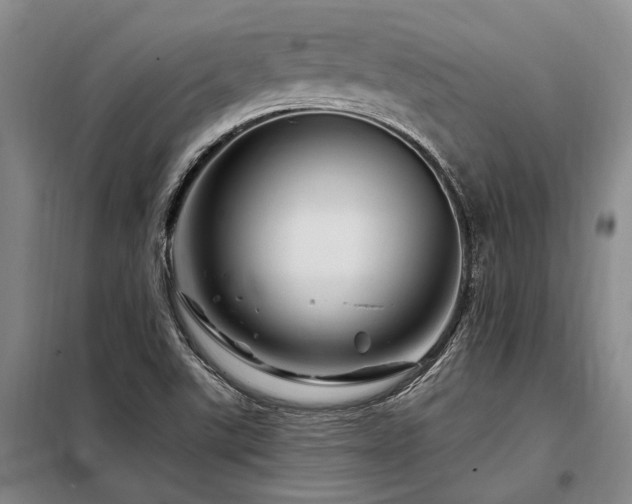 X0000098151507200804171559