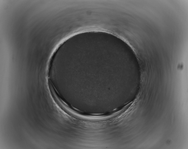 X0000098151508200804171559