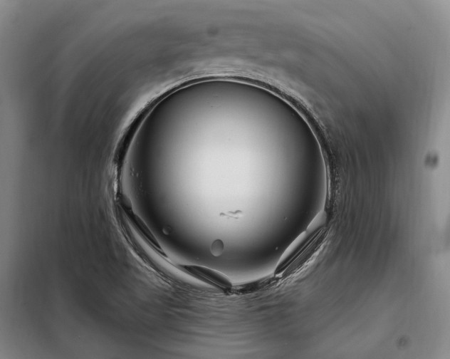 X0000098151509200804171559