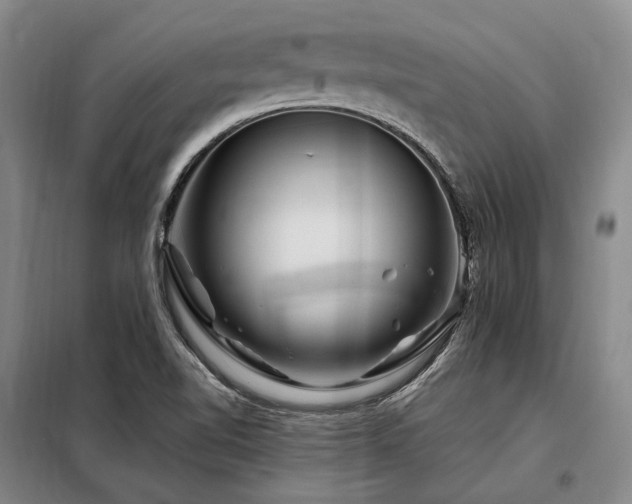 X0000098151510200804171559
