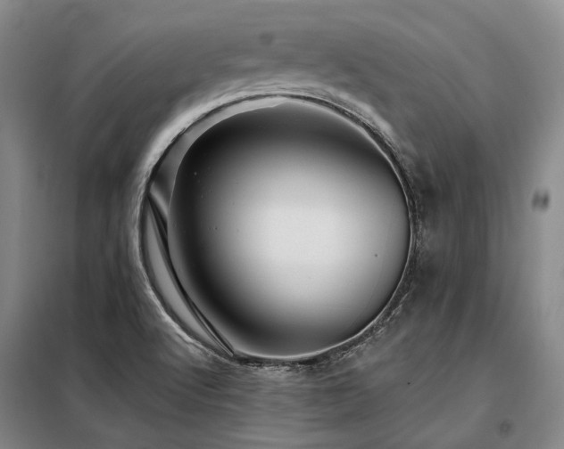 X0000098151512200804171559