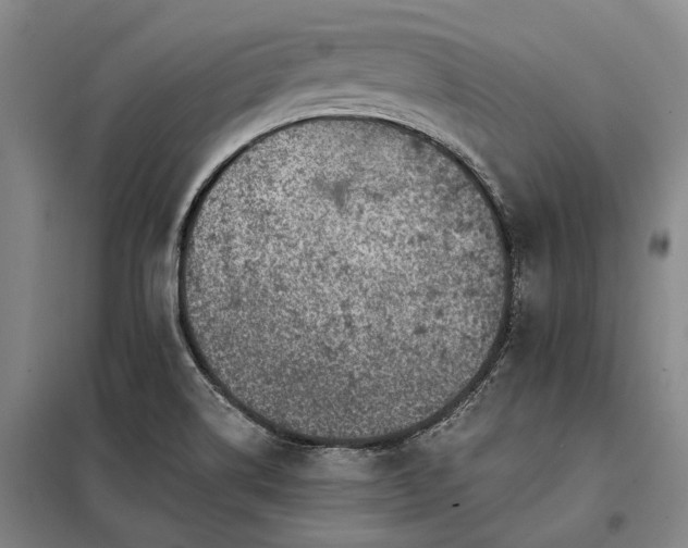 X0000098151514200804171559