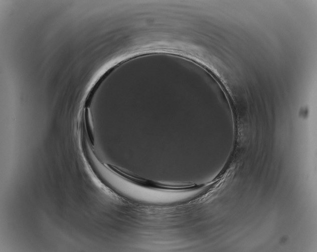 X0000098151515200804171600