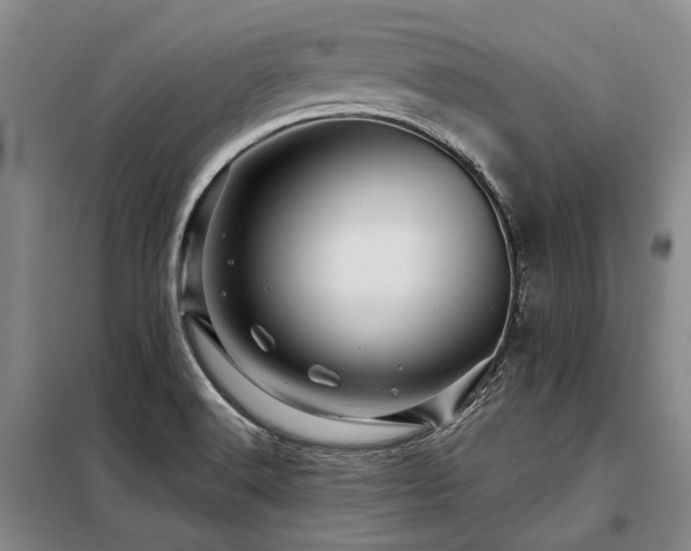 X0000098151516200804171600
