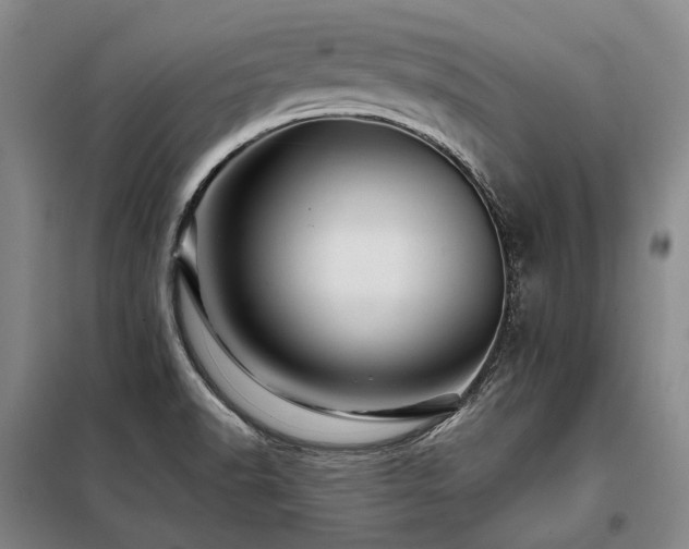 X0000098151518200804171600