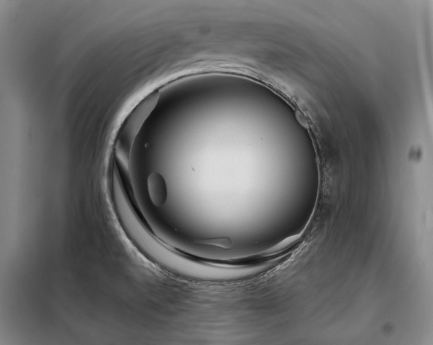 X0000098151520200804171600